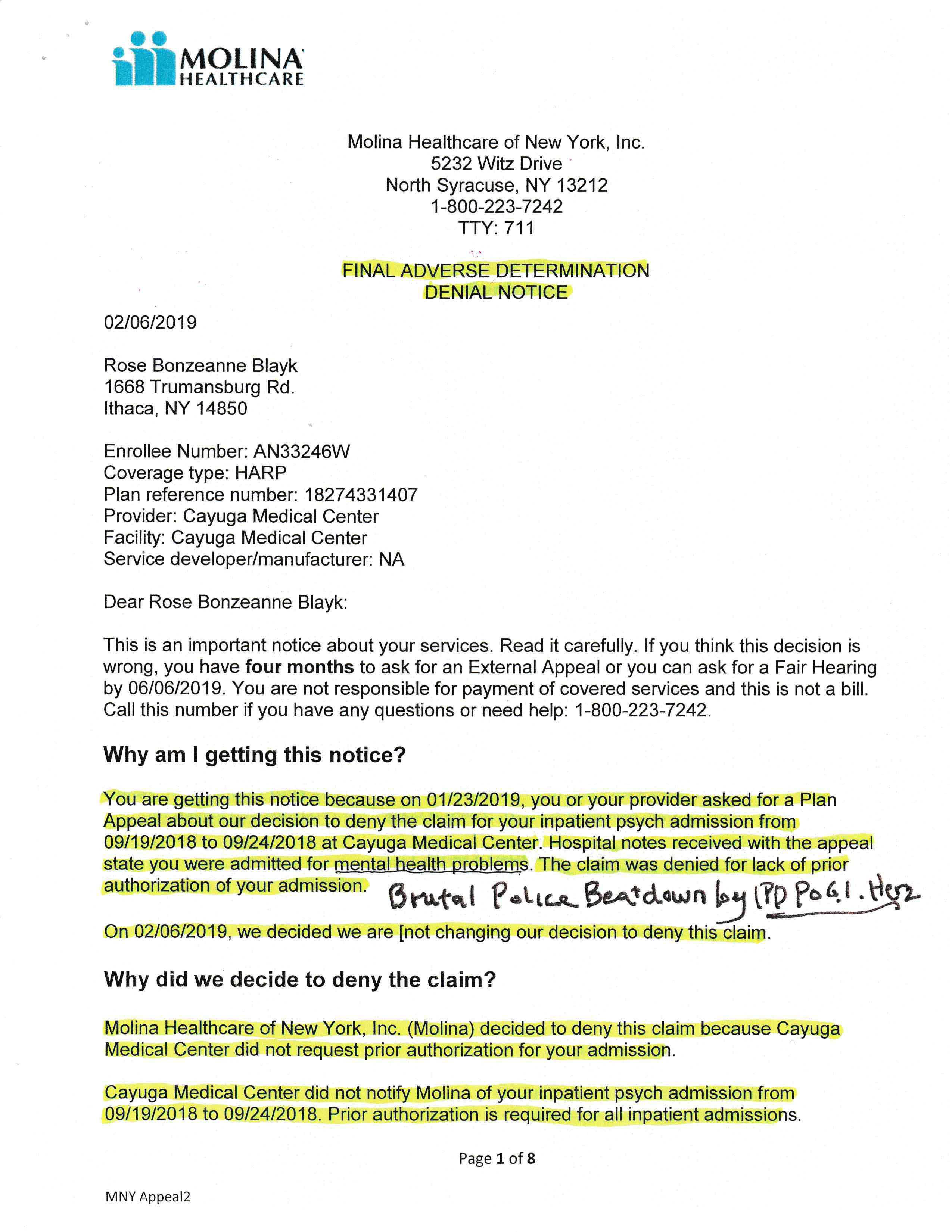 ./2018-11-29 - Bonze Blayk RAILROAD Tompkins CR-018365-18 - POLICE BRUTALITY, PSYCHIATRIC COVERUP, MEDICAID FRAUD IPD G.I. Herz John Joly CMC LTC Clifford Ehmke MD Molina Healthcare - p 25.png